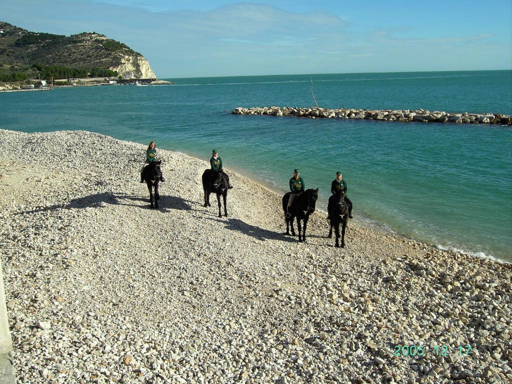 Hotel Menta E Rosmarino Monte SantʼAngelo Buitenkant foto